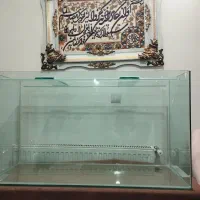 آکواریوم شیشه خم شرکتی|ماهی|خرمآباد, |دیوار