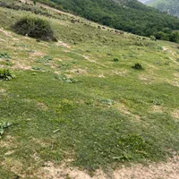 زمین باغی سنددار کرنگ کفتر|فروش زمین و ملک کلنگی|صادق آباد, |دیوار