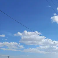 زمین باغ شهری خانه زنیان