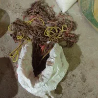 زنجیر چرخ نیساین|قطعات یدکی و لوازم جانبی|شیروان (خراسان), |دیوار