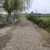 اجاره خانه ویلایی|اجارهٔ کوتاهمدت آپارتمان و سوئیت|شفت, |دیوار