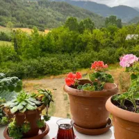 کارشناس بارزگانی مدیریت حمل نقل