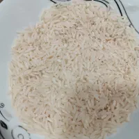 برنج هاشمی خالص|خوردنی و آشامیدنی|صومعه‌سرا, |دیوار