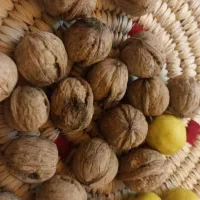 گردوی  کوهستان اورامان|عمده‌فروشی|پاوه, |دیوار