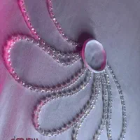 فروش عمده گردنبند مرواریدی قیمت عالی