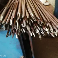 حفاظ شاخگوزنی|خدمات پیشه و مهارت|بوشهر, |دیوار