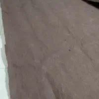 موکت قهوه ای|موکت|شاندیز, |دیوار