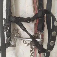 دهنه اسب زیبا وچرم مرغوب