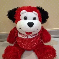 5 عددعروسکای نونو