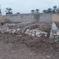 زمین برای فروش شادگان