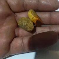 مهره|کلکسیون اشیاء عتیقه|اهواز, کمپلو جنوبی|دیوار