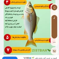 فروش انواع کودکشاورزی آلی|گل و گیاه طبیعی|میبد, |دیوار