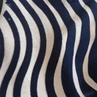 لباس  سایز ۴۴،۴۲|لباس|اردبیل, |دیوار