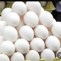 تخم مرغ درشت دولتی نرخ شکن برادران رنجبر|خوردنی و آشامیدنی|کرج, حیدرآباد|دیوار