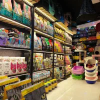 انواع غذا خشک رویال کنین ROYAL CANIN