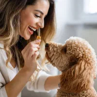 مربی سگ / آموزش سگ / تربیت سگ