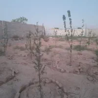 چهار دیوار مناسب باغچه سند دار