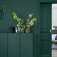 رویداد امروز هارمونی رنگ ها