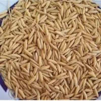 چلتوک برج لنجان|خوردنی و آشامیدنی|مبارکه, |دیوار