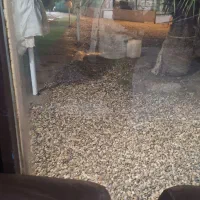 کافه باغ سنتی|اجارهٔ کوتاه‌مدت ویلا و باغ|آبادان, |دیوار