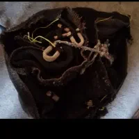 سیاه چادر فروشی