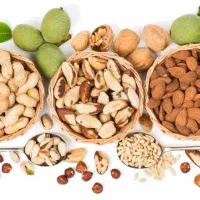 نیروی حرفه ای