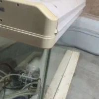 آکواریم ‌خارجی شیشه خم|ماهی|ابریشم, |دیوار