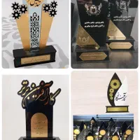 تندیس مناسبتی/کارآفرینی