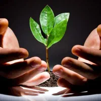 10 روزه|خدمات مالی، حسابداری، بیمه|شیراز, تپه تلویزیون|دیوار