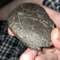 سنگ ((احتمالی)) و مشکوک به آسمانی