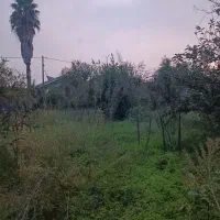 فروش-زمین-داخل-شهری-لولمان-رشت-آباد