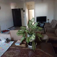 آپارتمان ۷۰متری چهارراه ابراهیمی (پمپ بنزین کمالی)|اجارهٔ آپارتمان|تنکابن, |دیوار