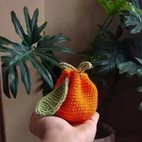 کیف اکسسوری