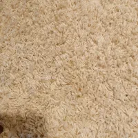 48متر موکت پالاز مدل باران