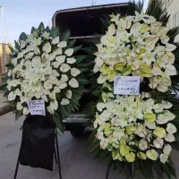 تاج گل و گل‌آرایی با 20سال سابقه کار|گل و گیاه طبیعی|ری, بازار گل خاوران|دیوار