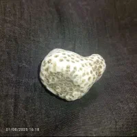 سنگ|کلکسیون اشیاء عتیقه|اهواز, امانیه|دیوار