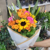 گل آفتابگردون خارجی فقط ۶۰ تومان|گل و گیاه طبیعی|شیراز, خلدبرین|دیوار