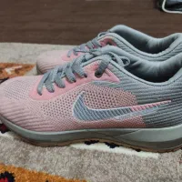 کفش|کیف، کفش، کمربند|شیراز, زرهی|دیوار