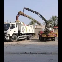 فروش نخل خرما بلندوچندمتری|گل و گیاه طبیعی|چابهار, |دیوار