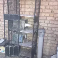 جفتگاه کفتر