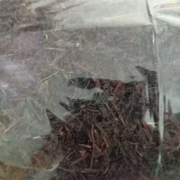 فروش چای لاهیجان|خوردنی و آشامیدنی|تهران, دولاب|دیوار