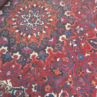فرش دستباف بختیاری/6 متری