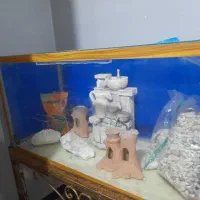 فروش فوری
