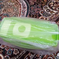 نایسر دایسر