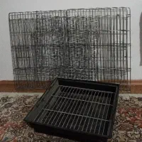 قفس کاسکویی نو