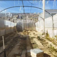 سازه گلخانه|ابزارآلات|رونیز, |دیوار