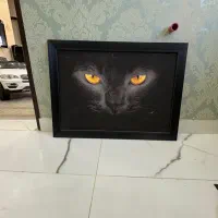 تابلوی چراغدار گربه