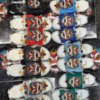 دمپایی دراگون در ۸ رنگ سایزبندی ۳۹تا۴۴