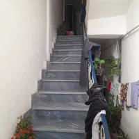 به یک خانم برای نظافت و آشپزی نیاز داریم