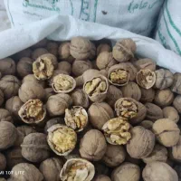 گردو و مغز گردو بلغاری درجه یک|خوردنی و آشامیدنی|مشکیندشت, |دیوار